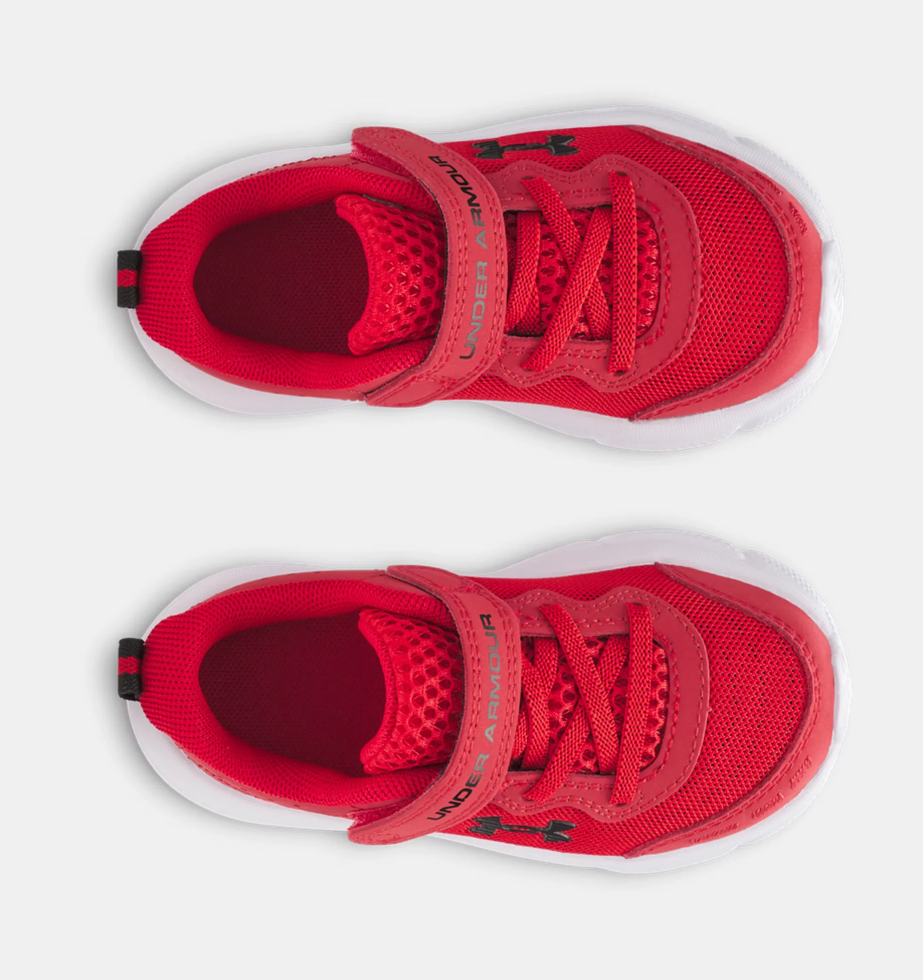 ASSERT 10 - Image 4