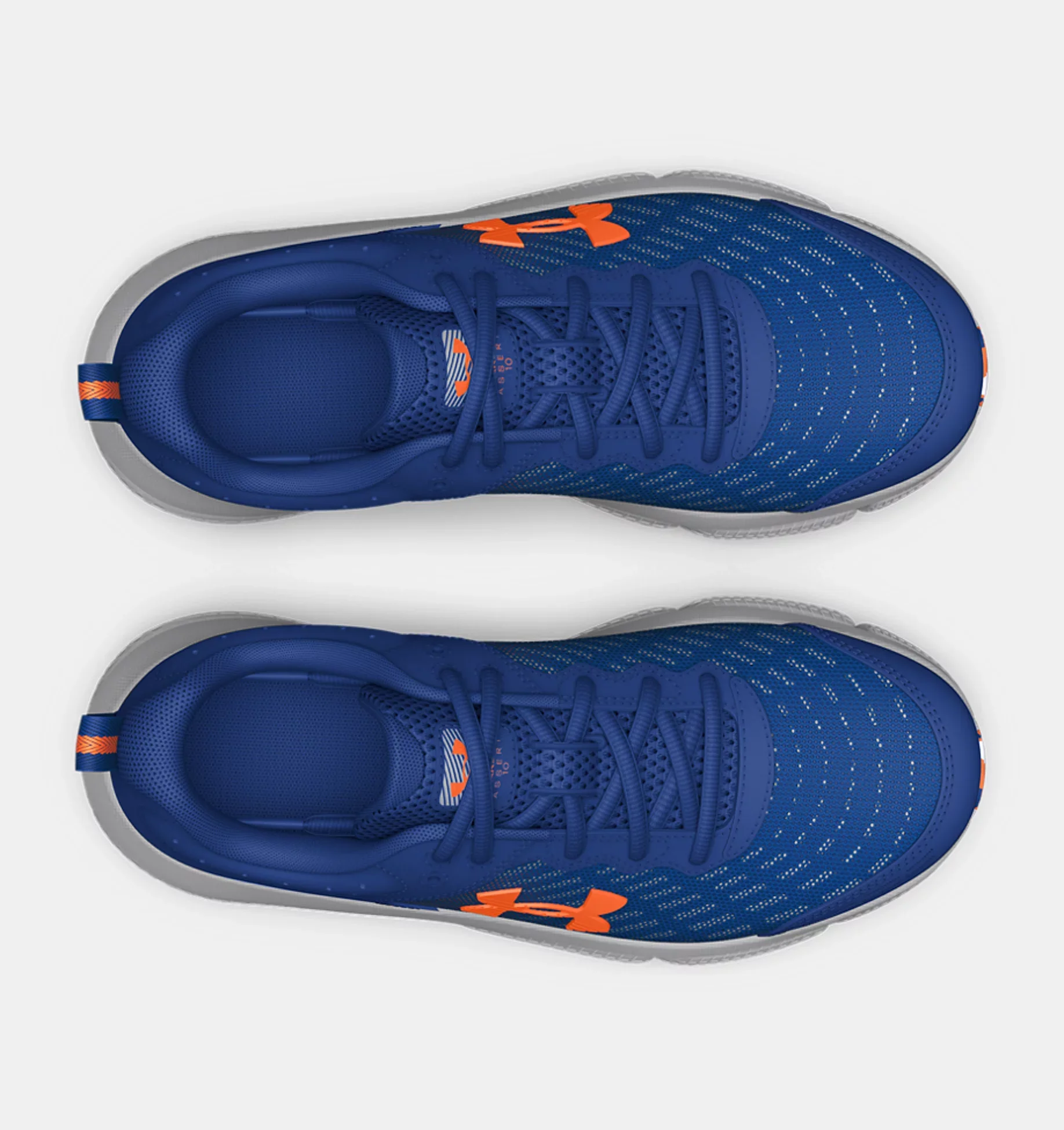 ASSERT 10 - Image 4