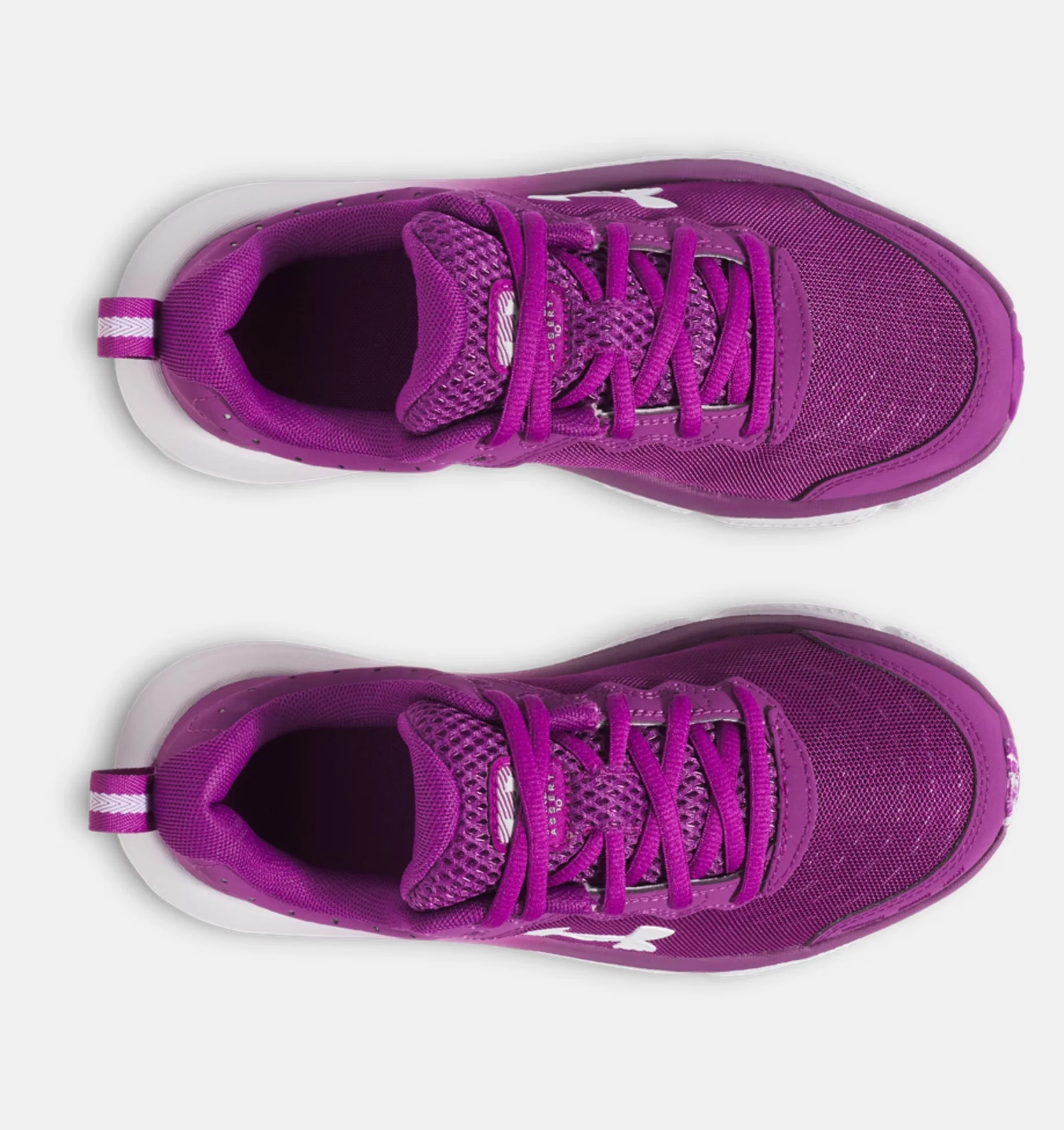 ASSERT 10 - Image 4
