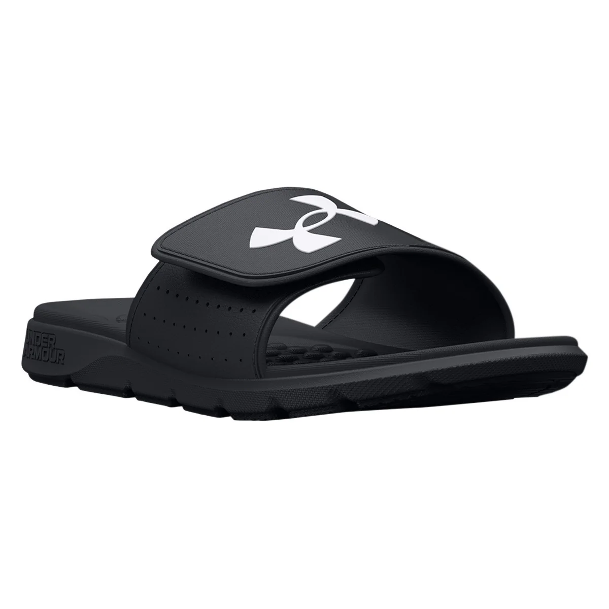 B IGNITE 7 SL - Image 2