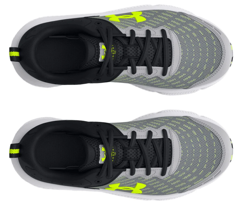 BGS ASSERT 10 - Image 4