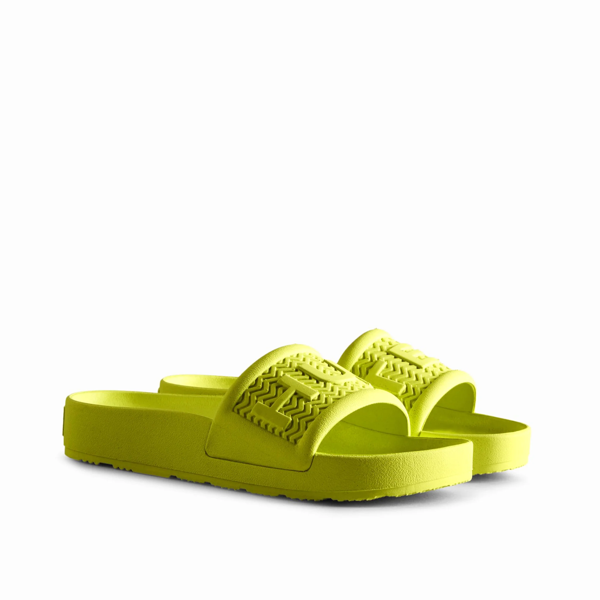 BLOOM ALGAE - Image 2