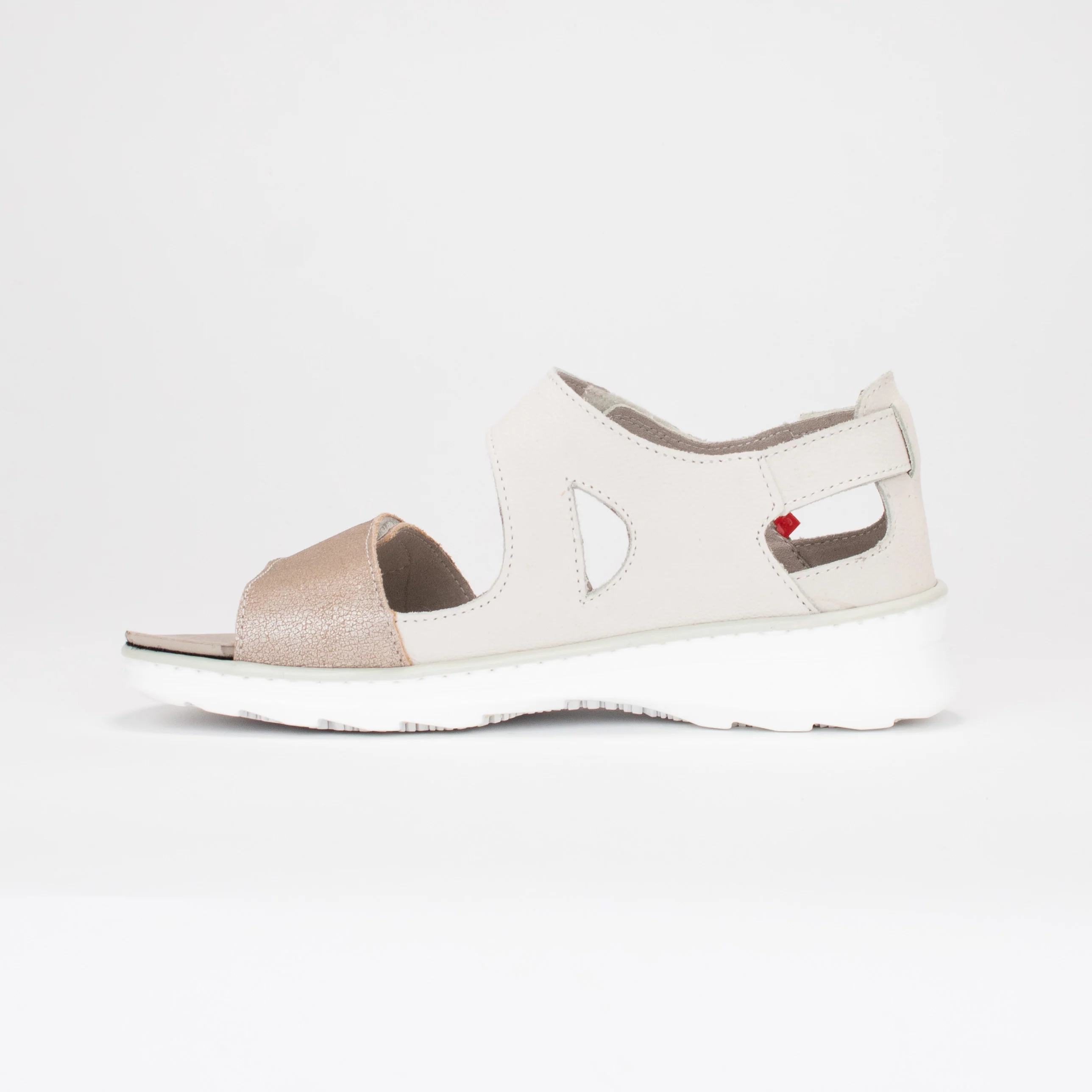 CLARA - Image 2