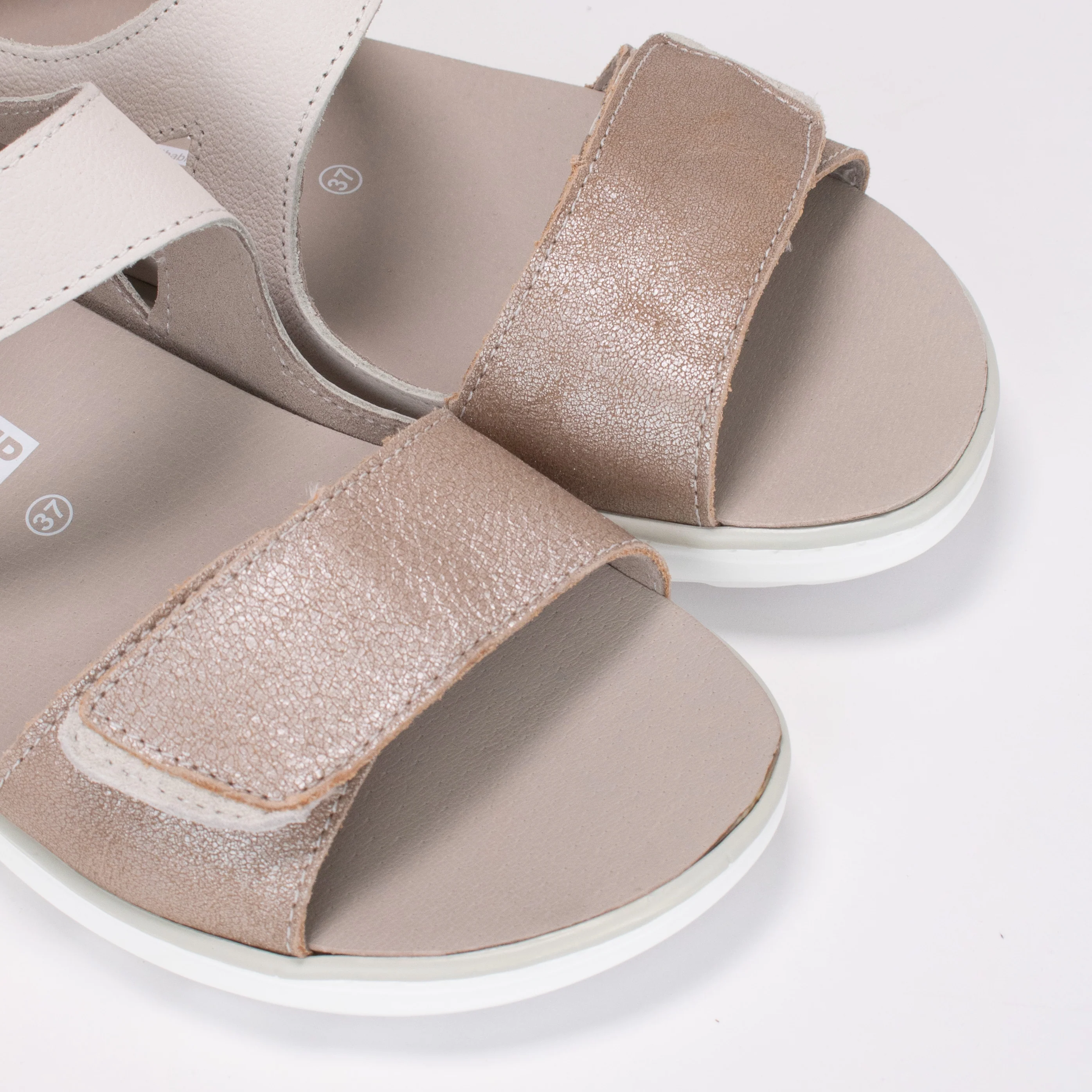 CLARA - Image 5