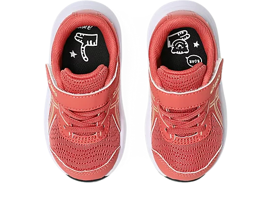 CONTEND 9 TS - Image 5