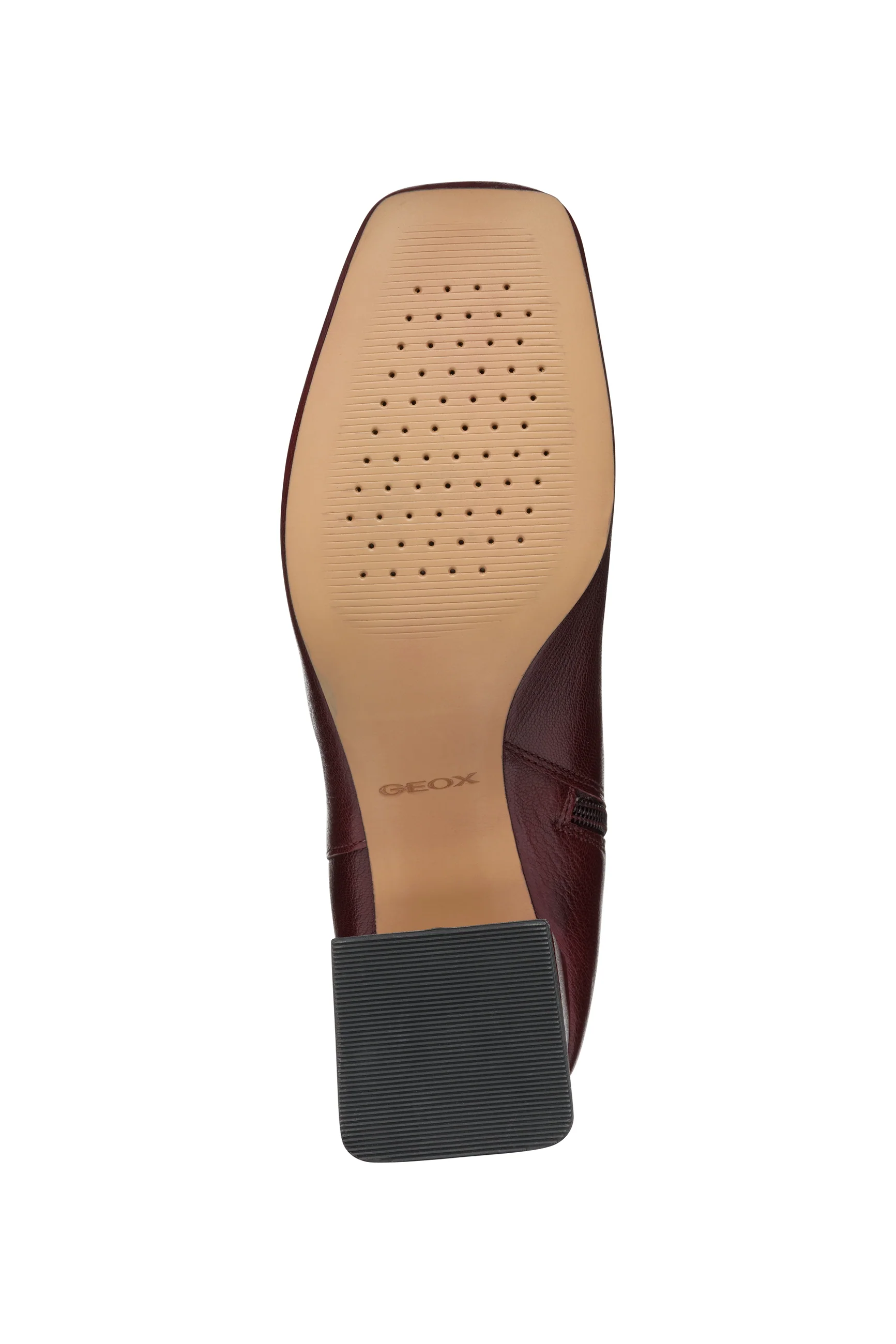 CORONILLA - Image 7