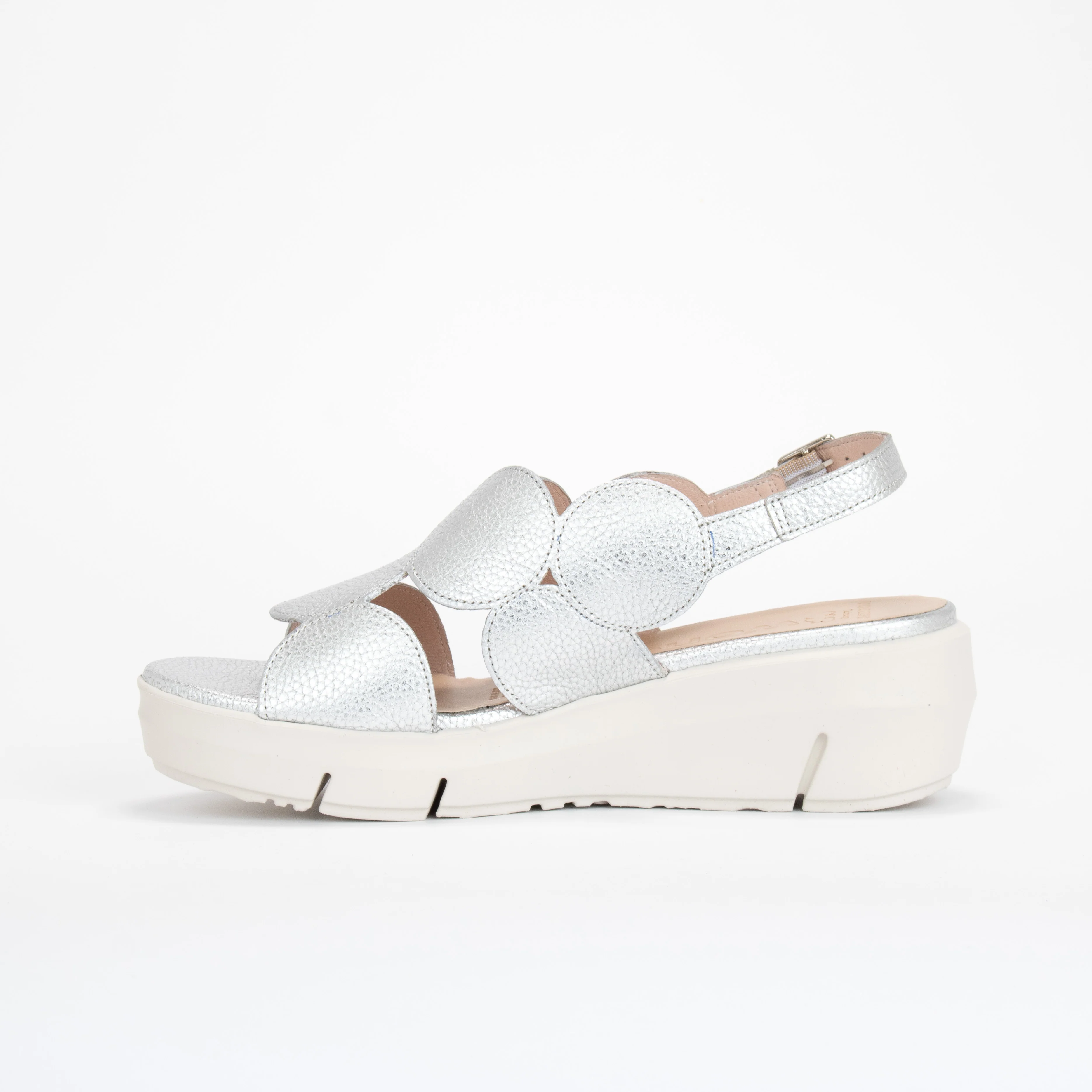 D-8210 - Image 2