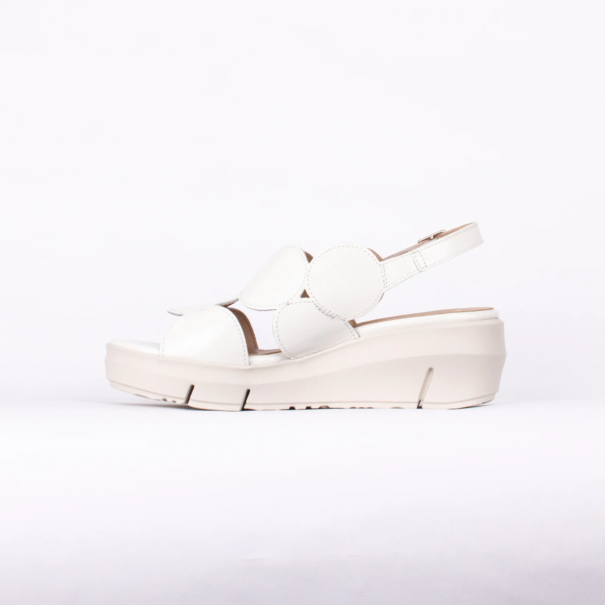 D-8210 - Image 3