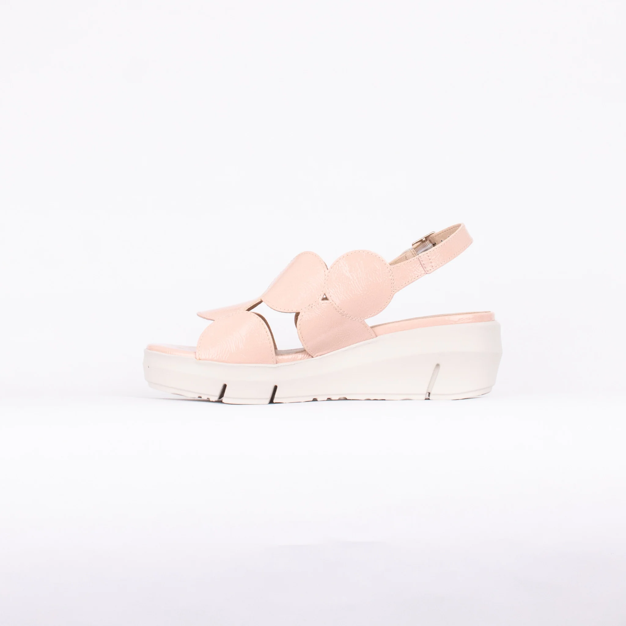 D-8210 - Image 3