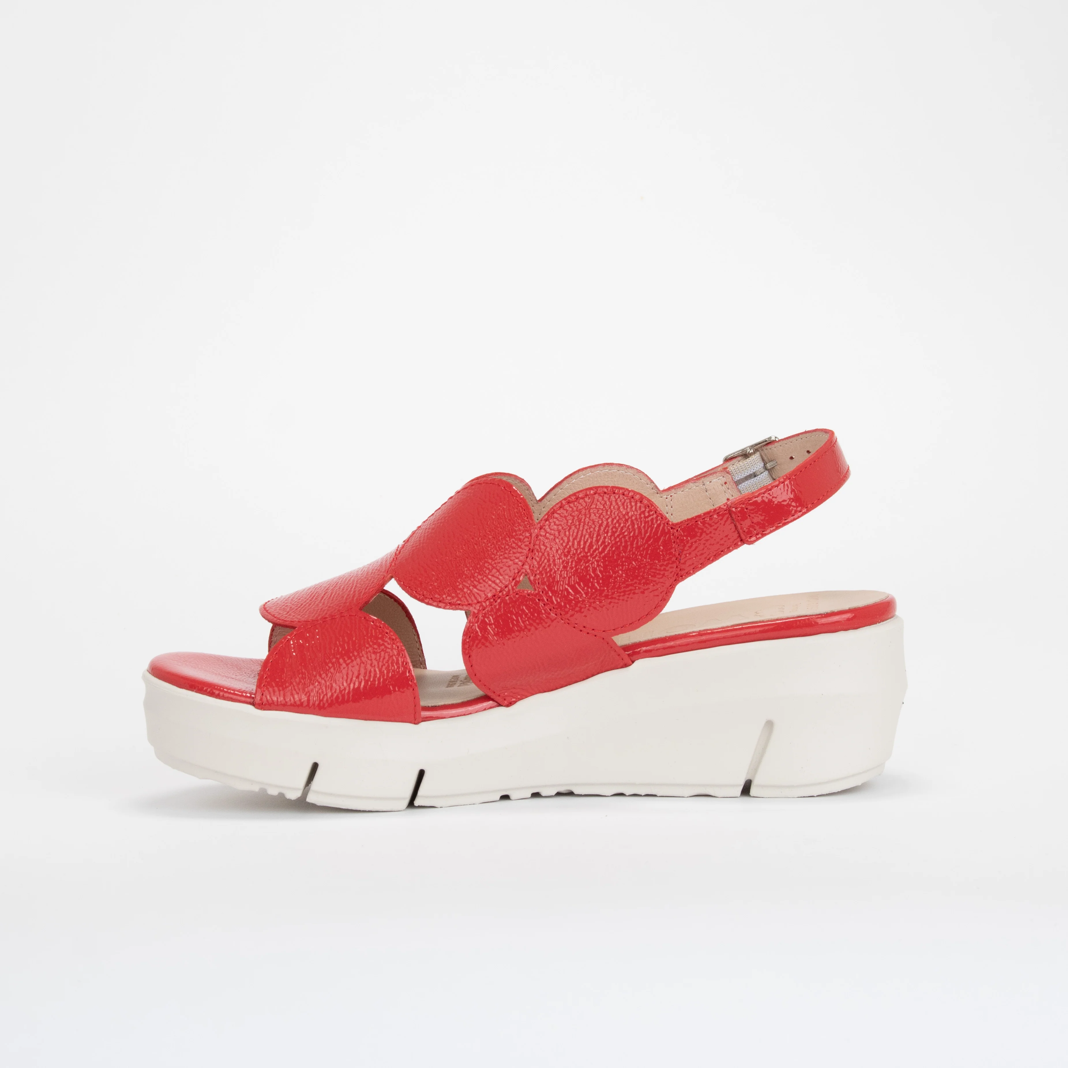 D-8210 - Image 2
