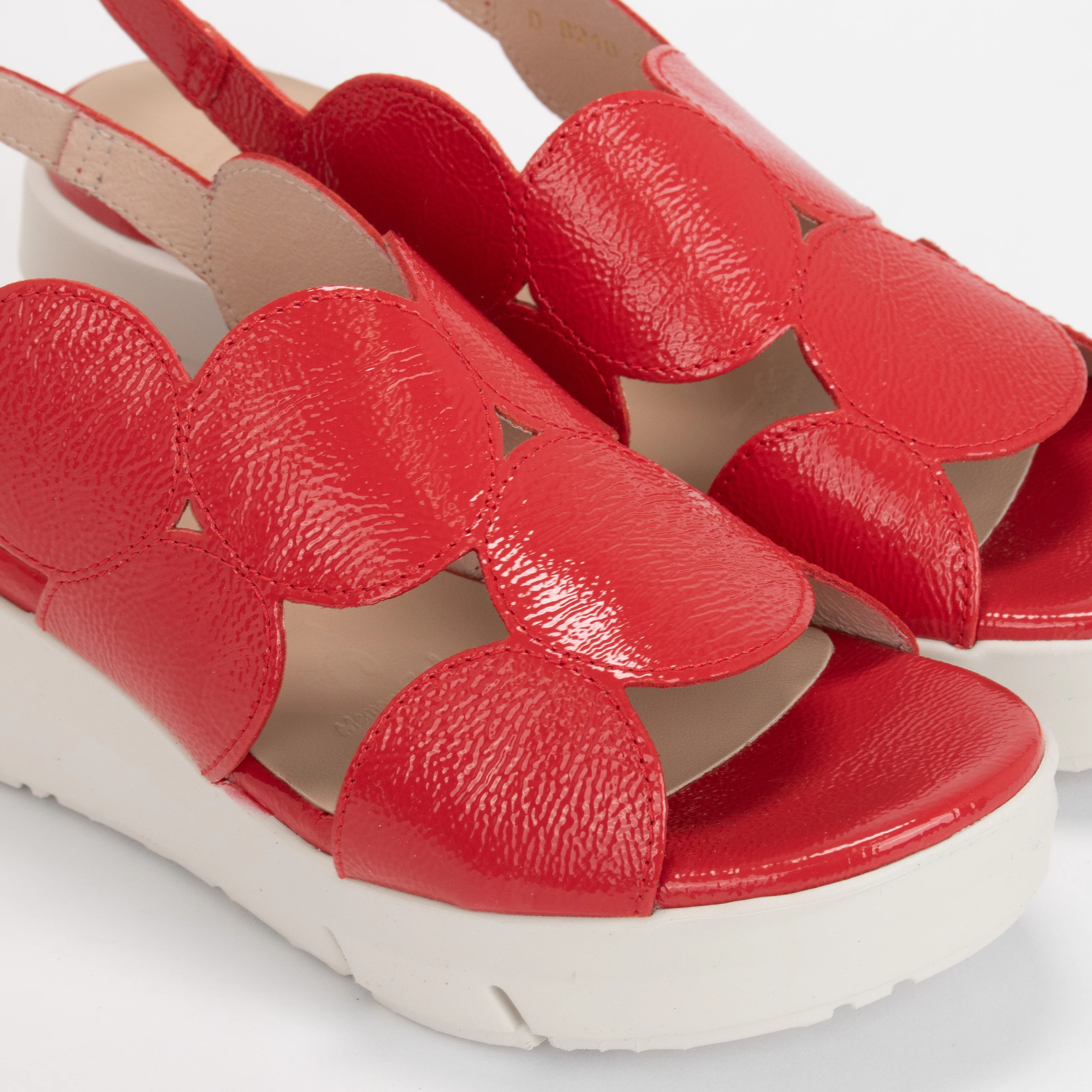 D-8210 - Image 3