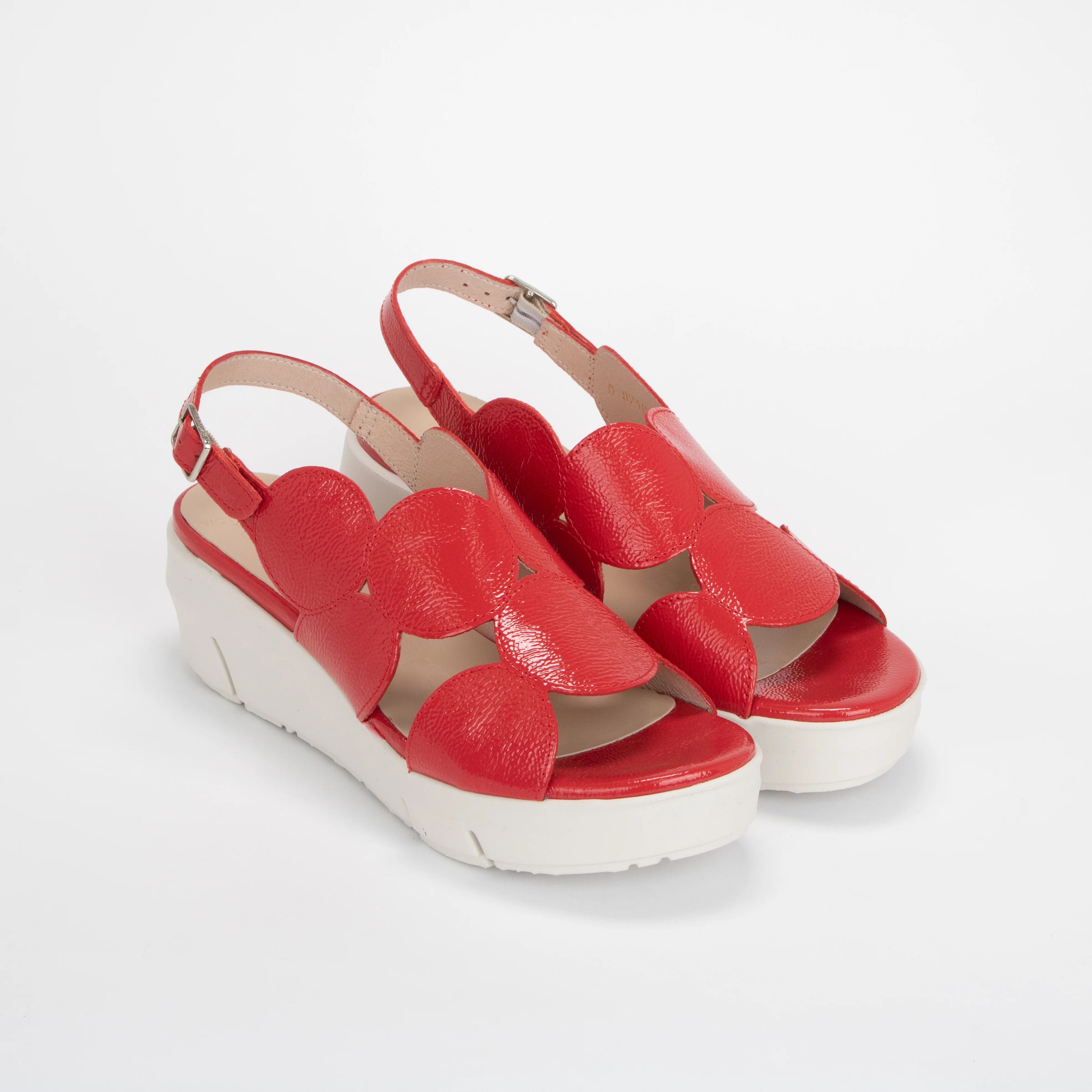 D-8210 - Image 4