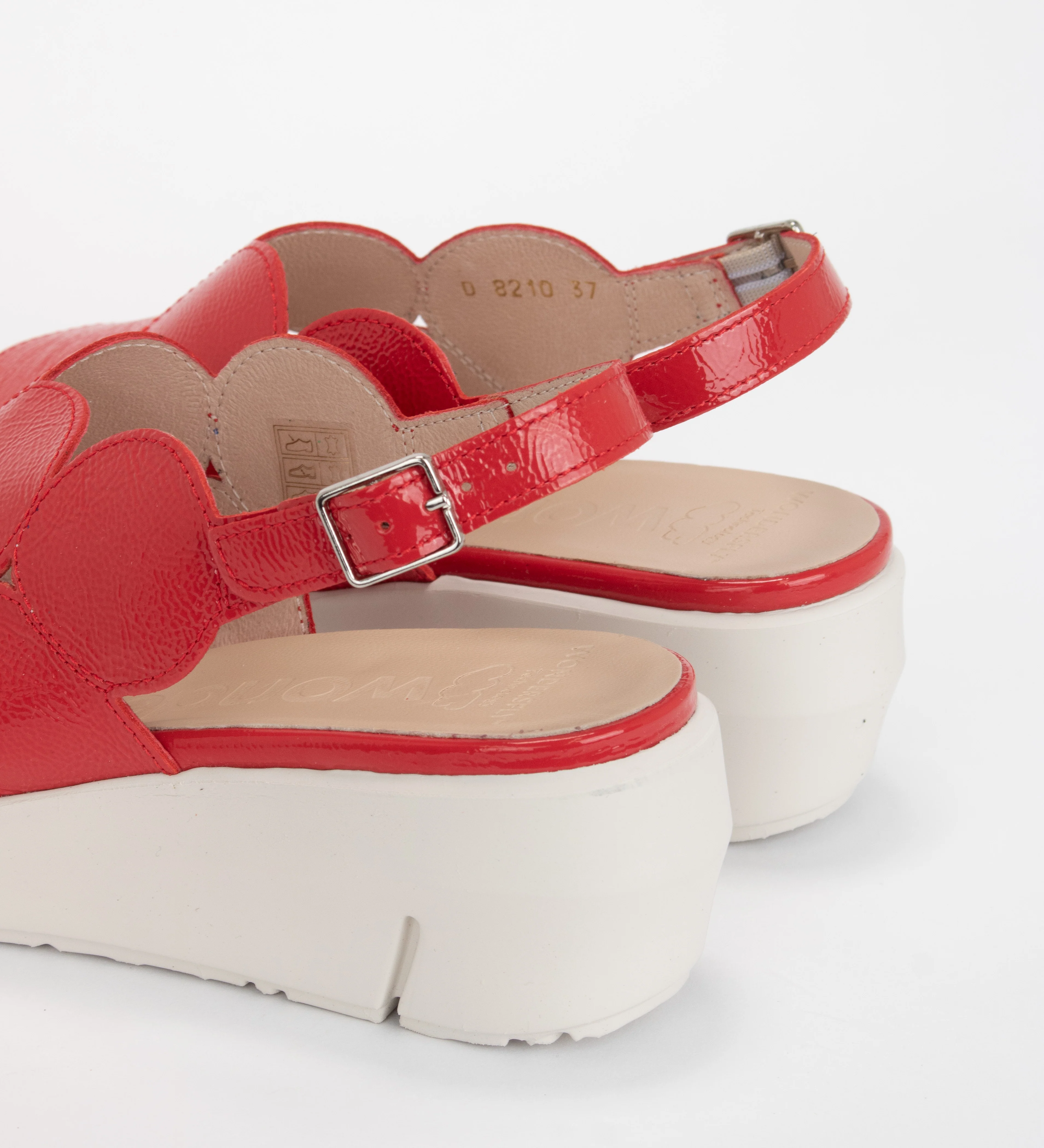 D-8210 - Image 5