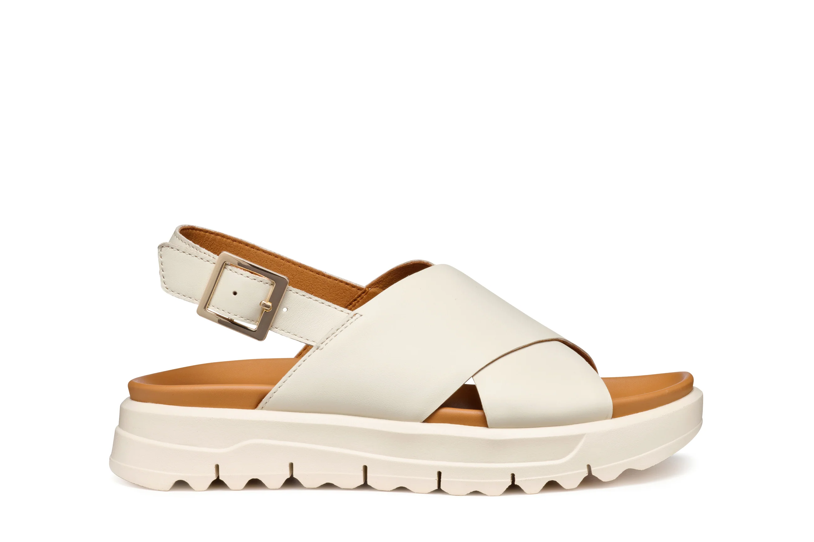 D XAND 2.1S