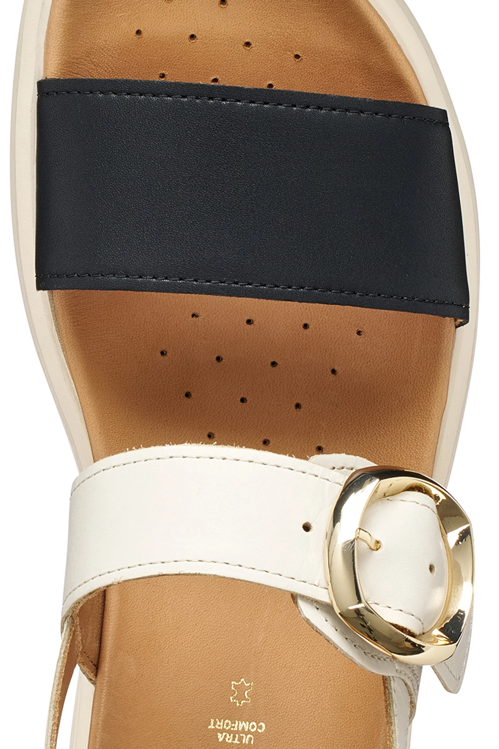 D XAND 2S - Image 2