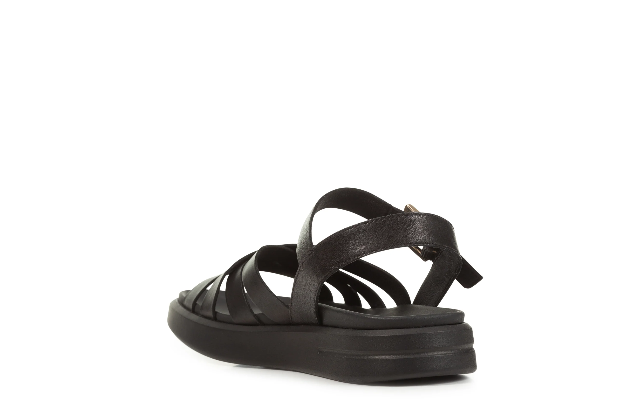 D XAND 2S - Image 5