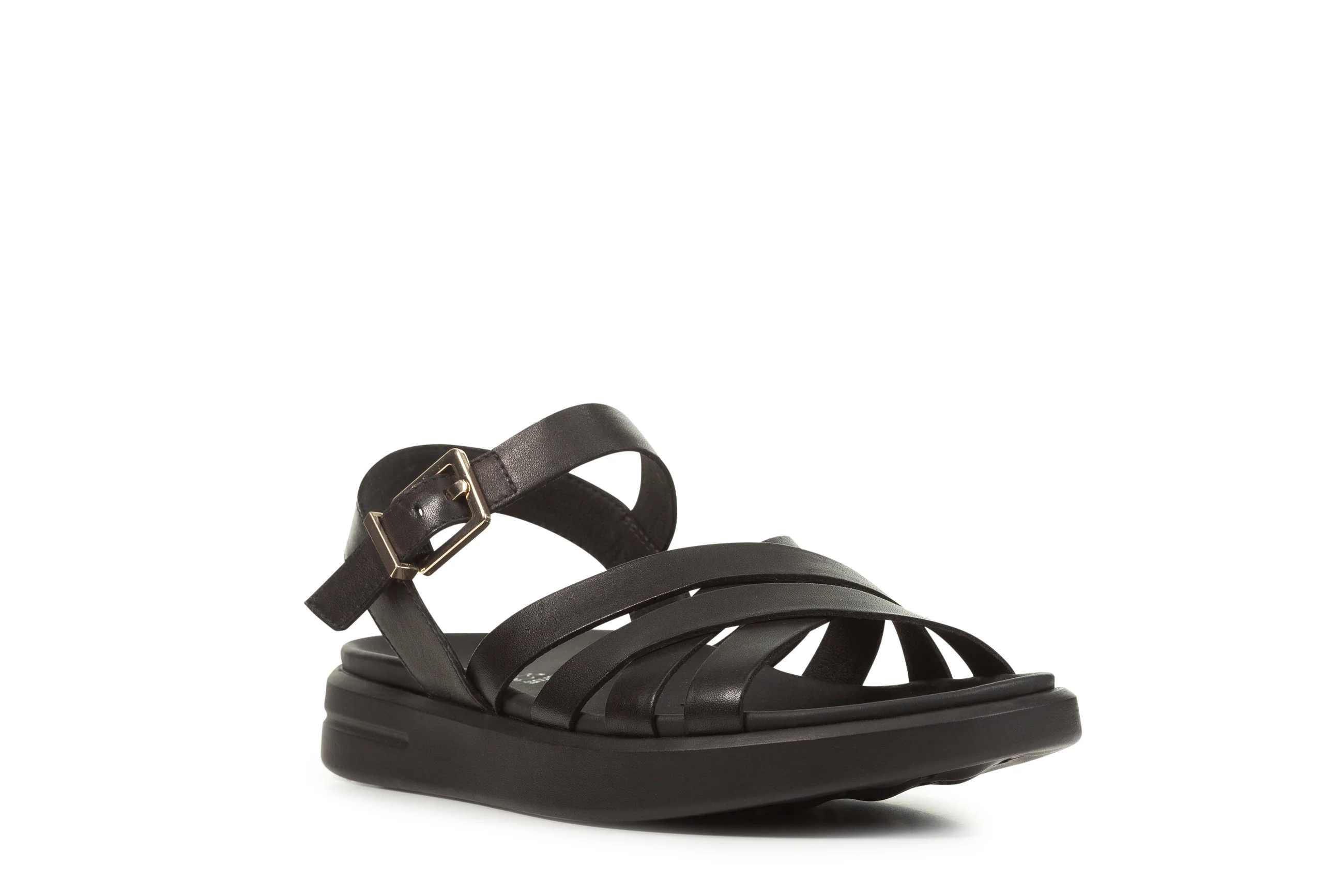 D XAND 2S - Image 6