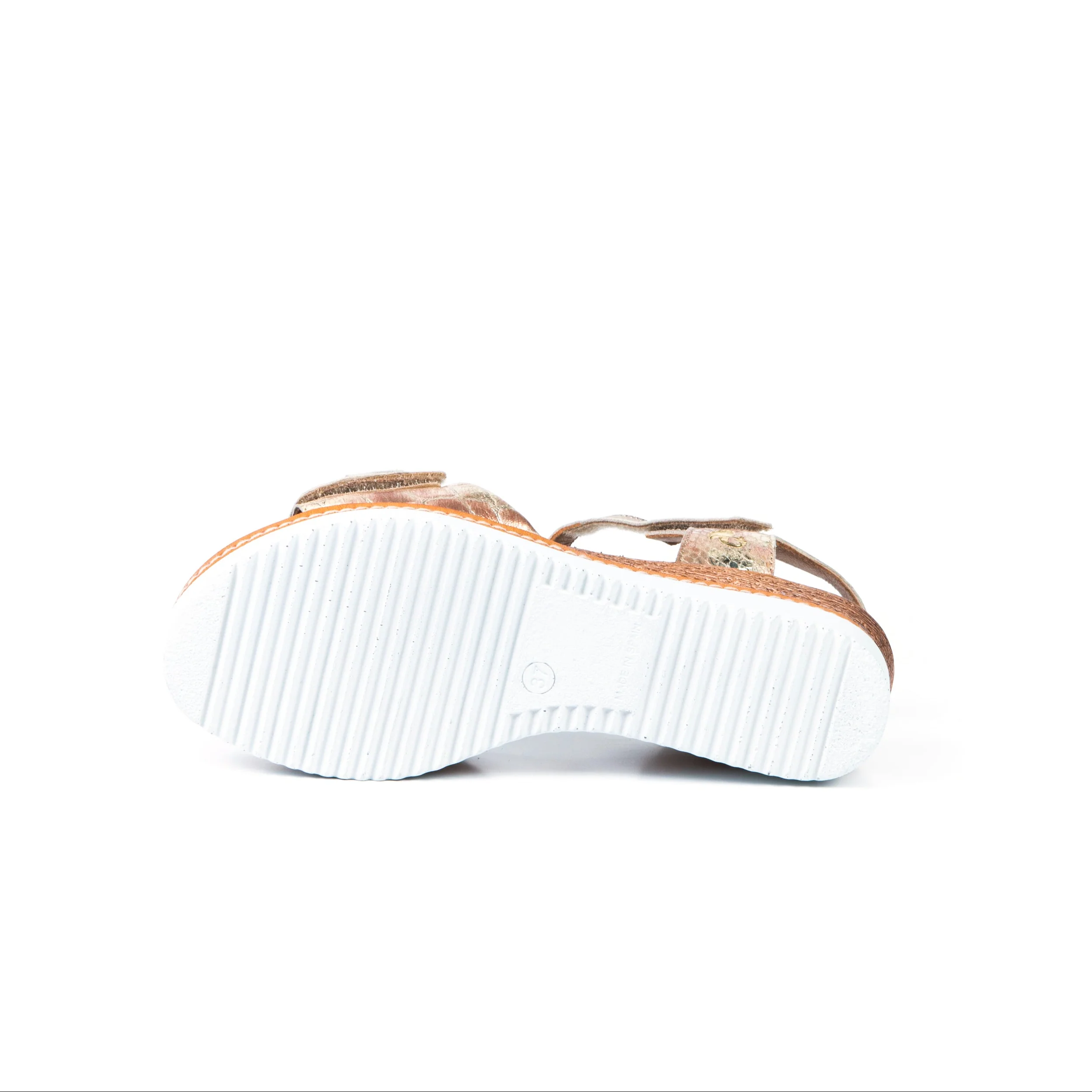 GLORIA - Image 4