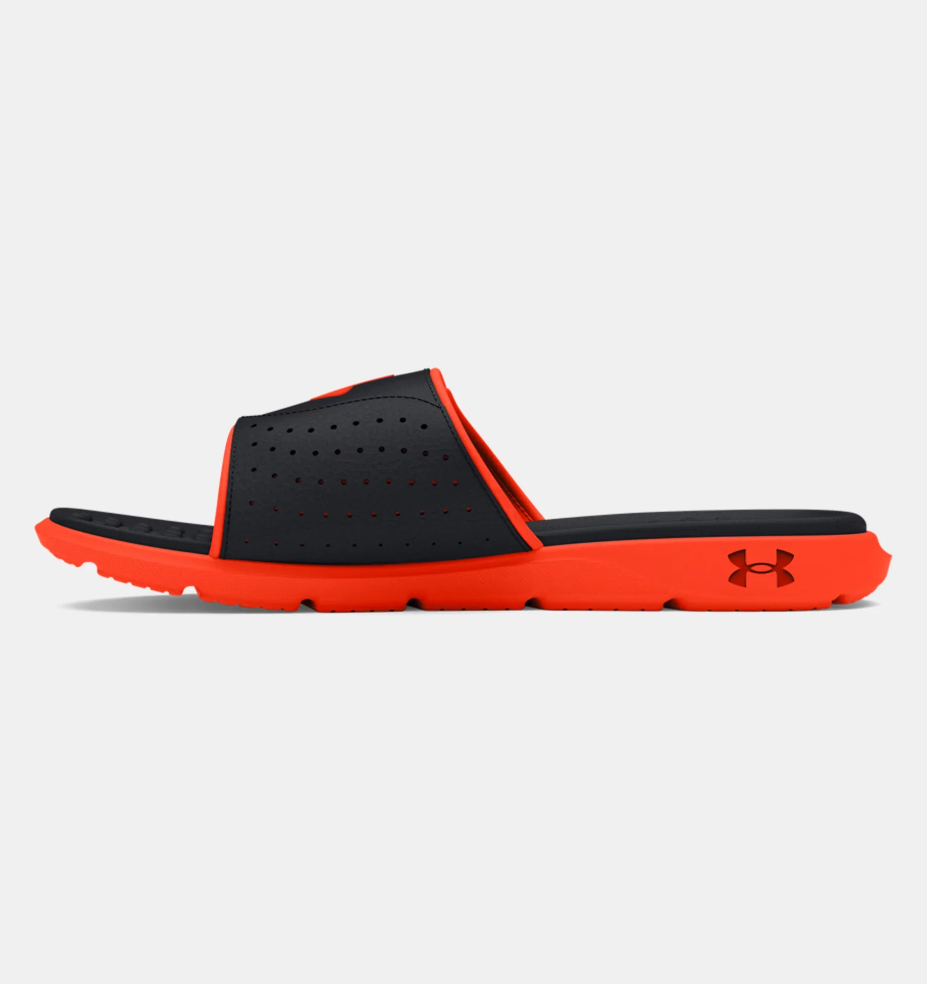 IGNITE PRO SI - Image 2