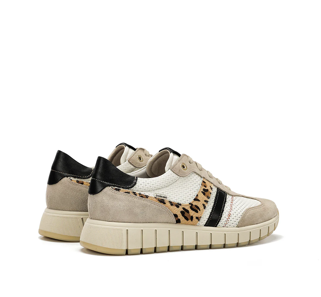 KLOSS - Image 3