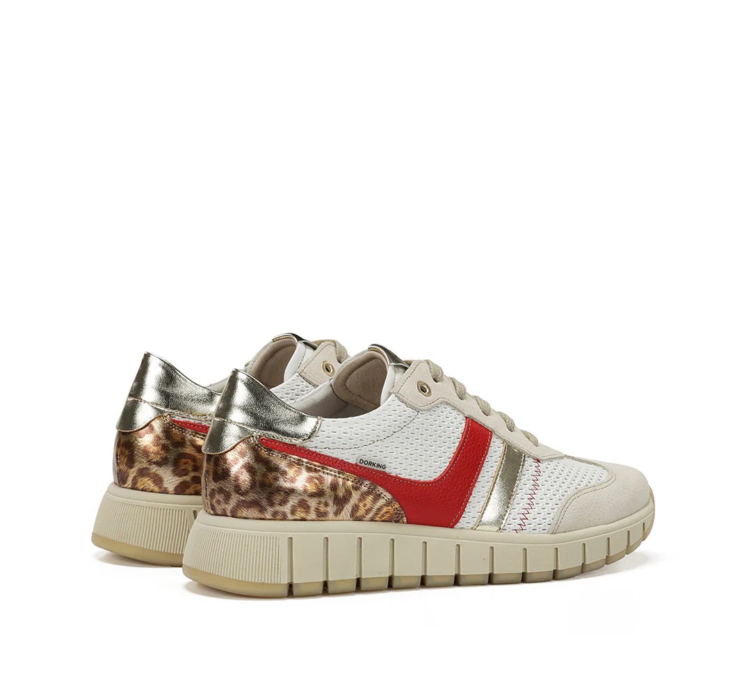 KLOSS - Image 5