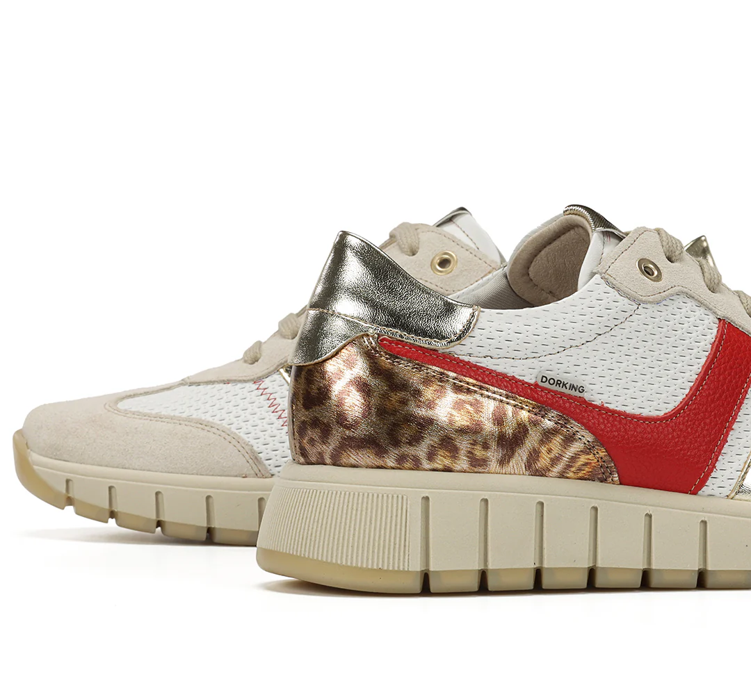 KLOSS - Image 7