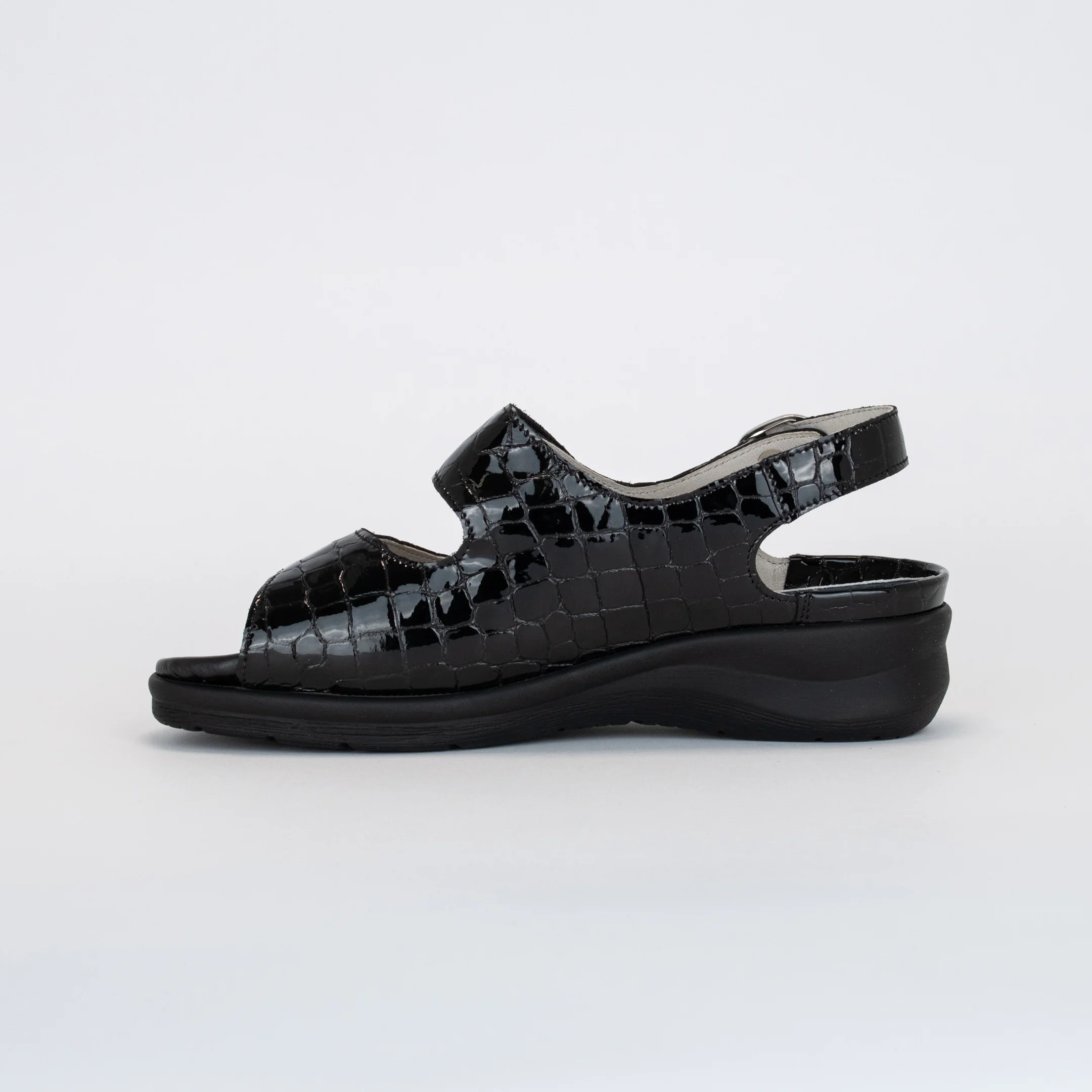 MERLE - Image 6