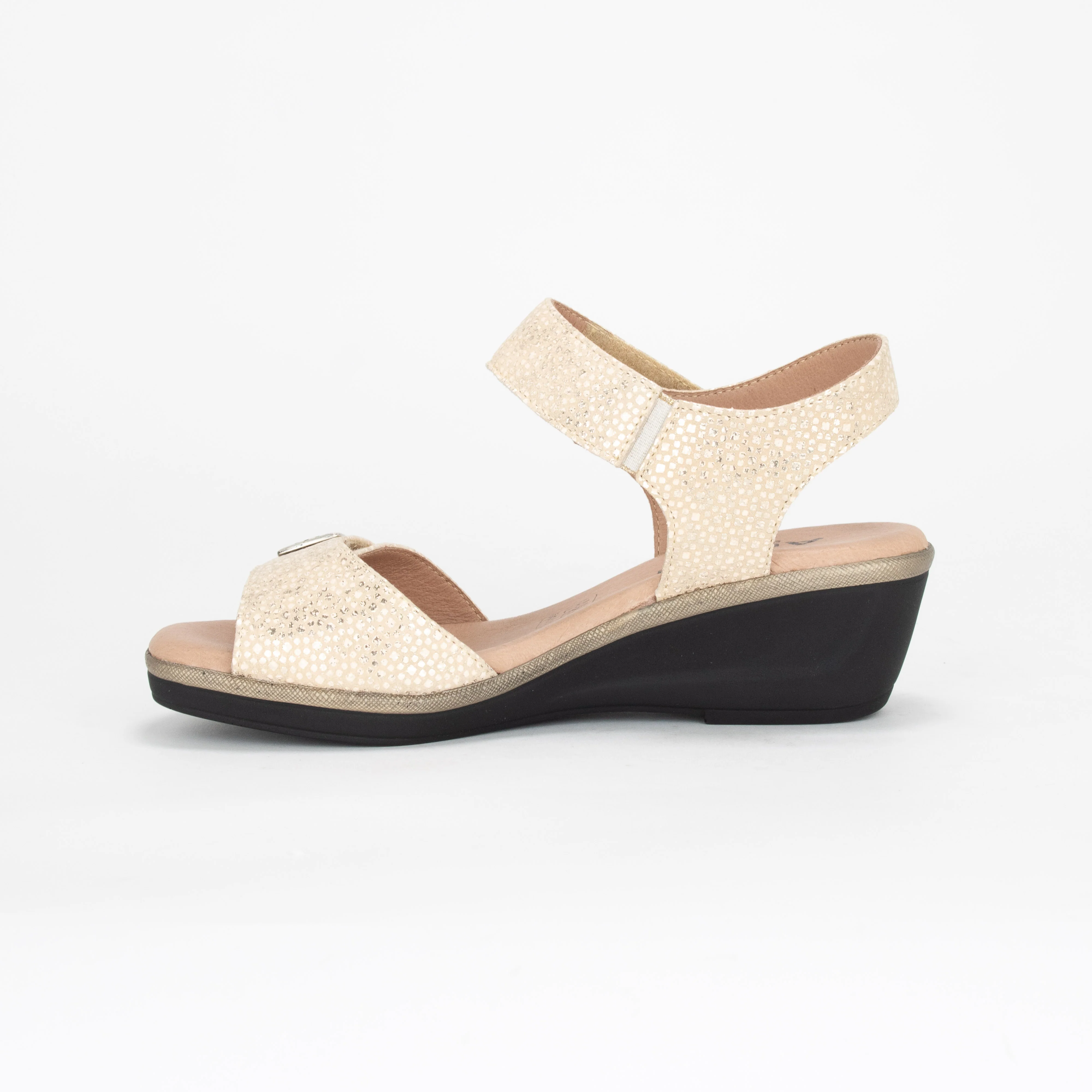 NATY - Image 2