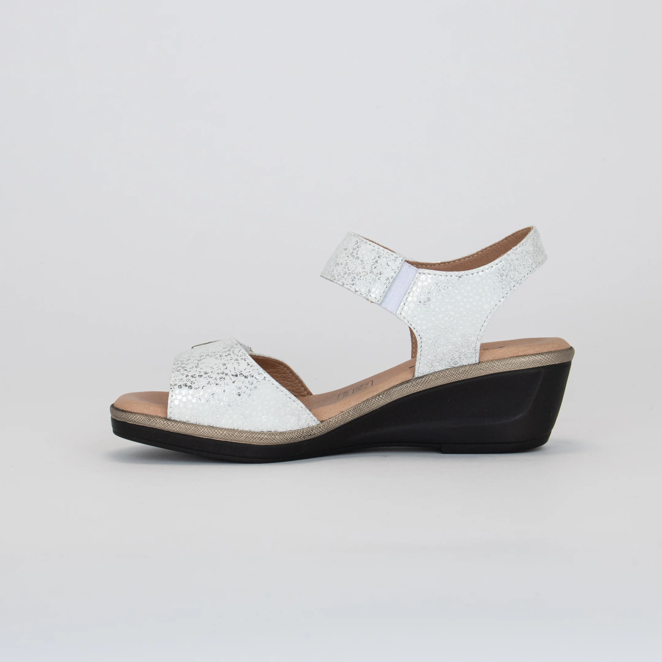 NATY - Image 2