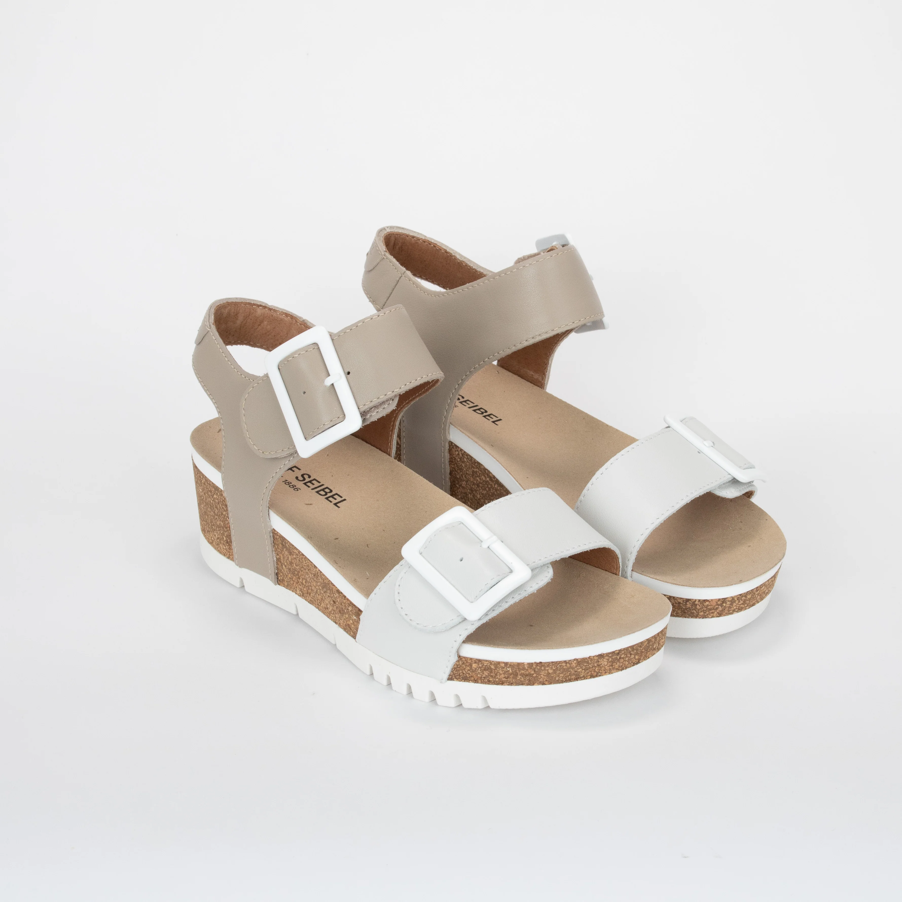 QUINN 02 - Image 2