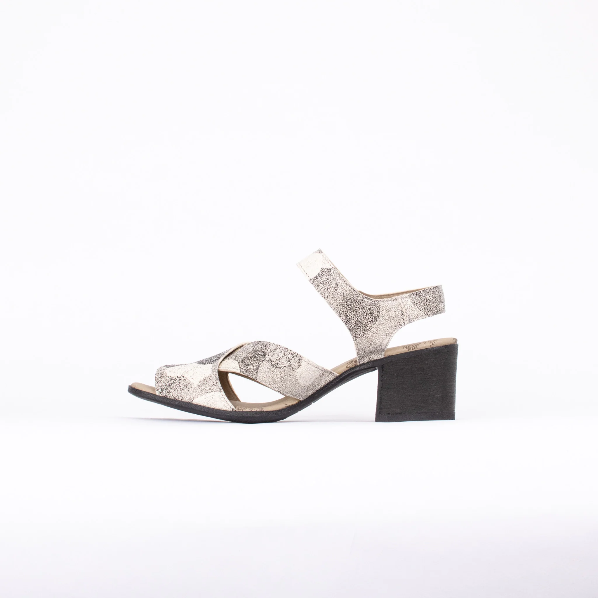 SHINE - Image 2