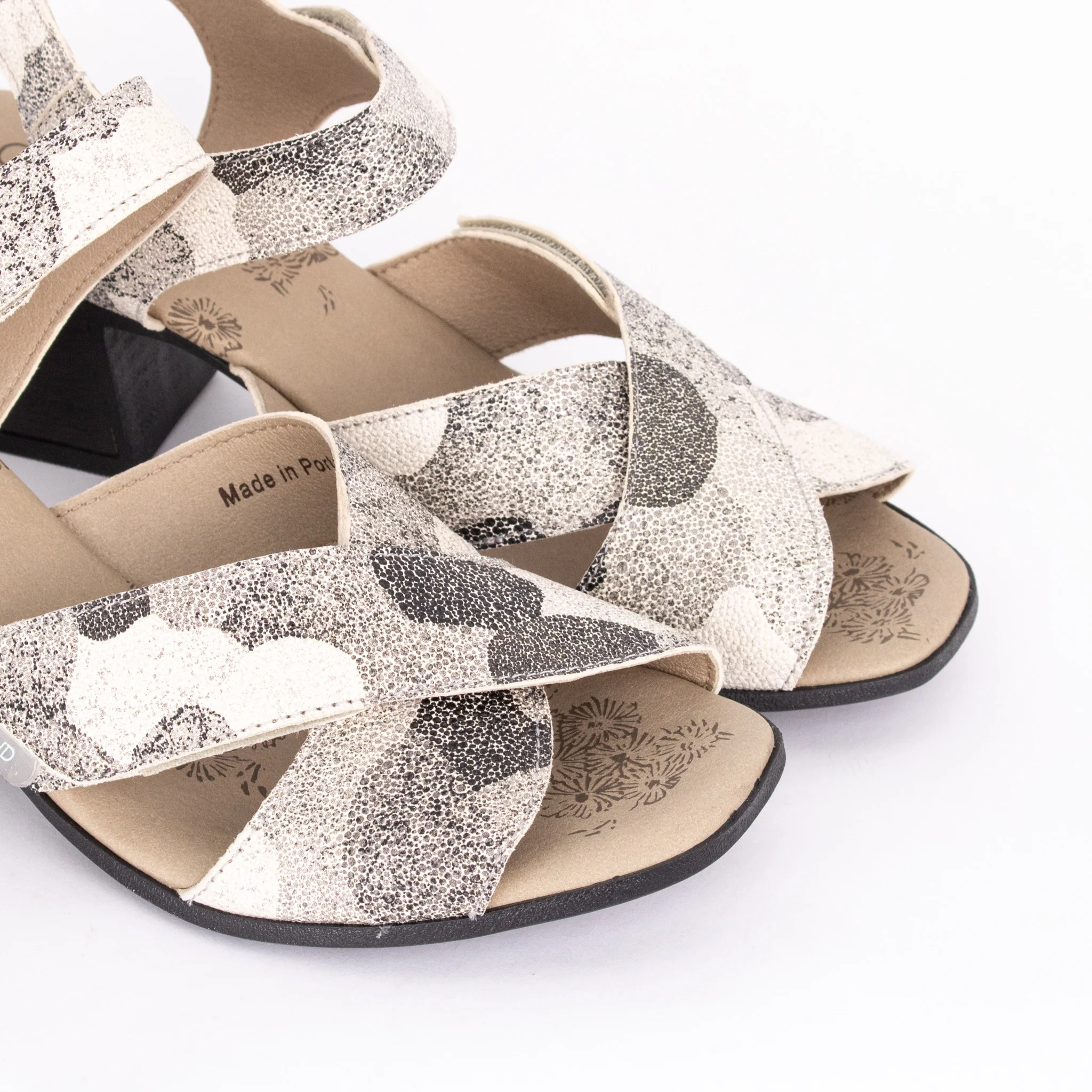 SHINE - Image 5