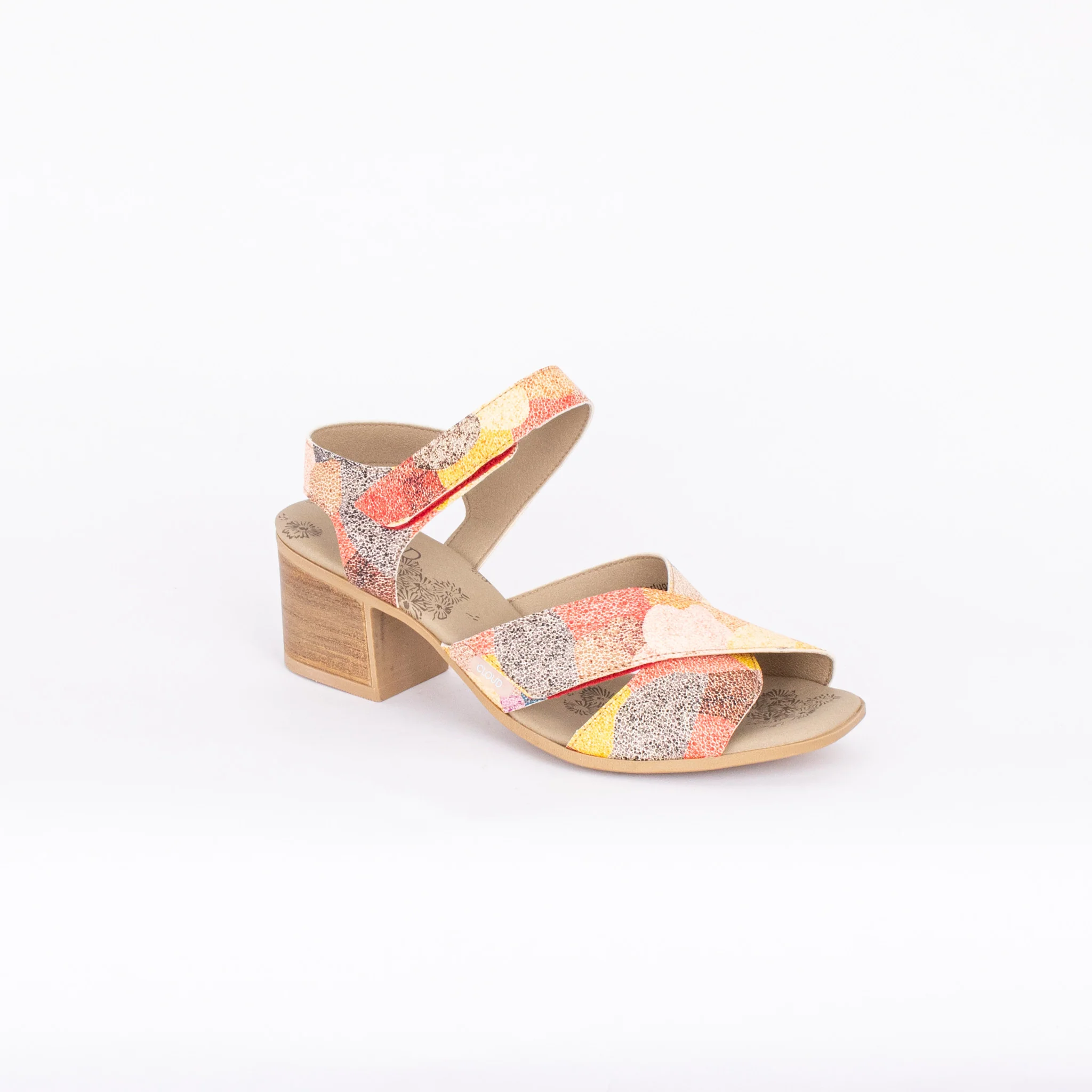 SHINE - Image 9