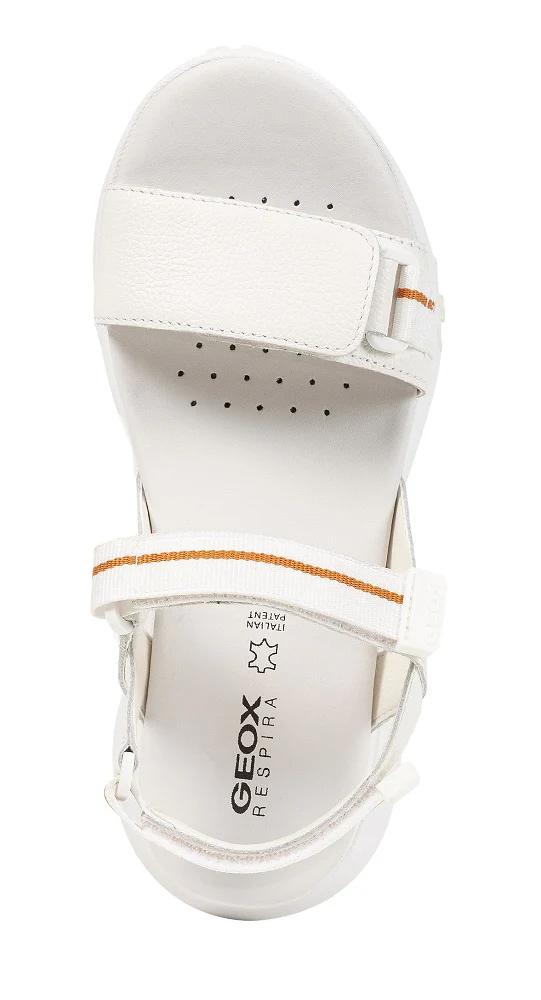 SORAPIS + GRIP - Image 2