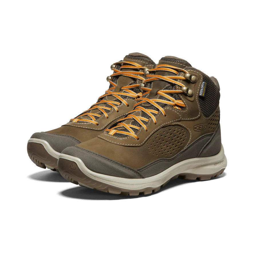TERRADORA - Image 2