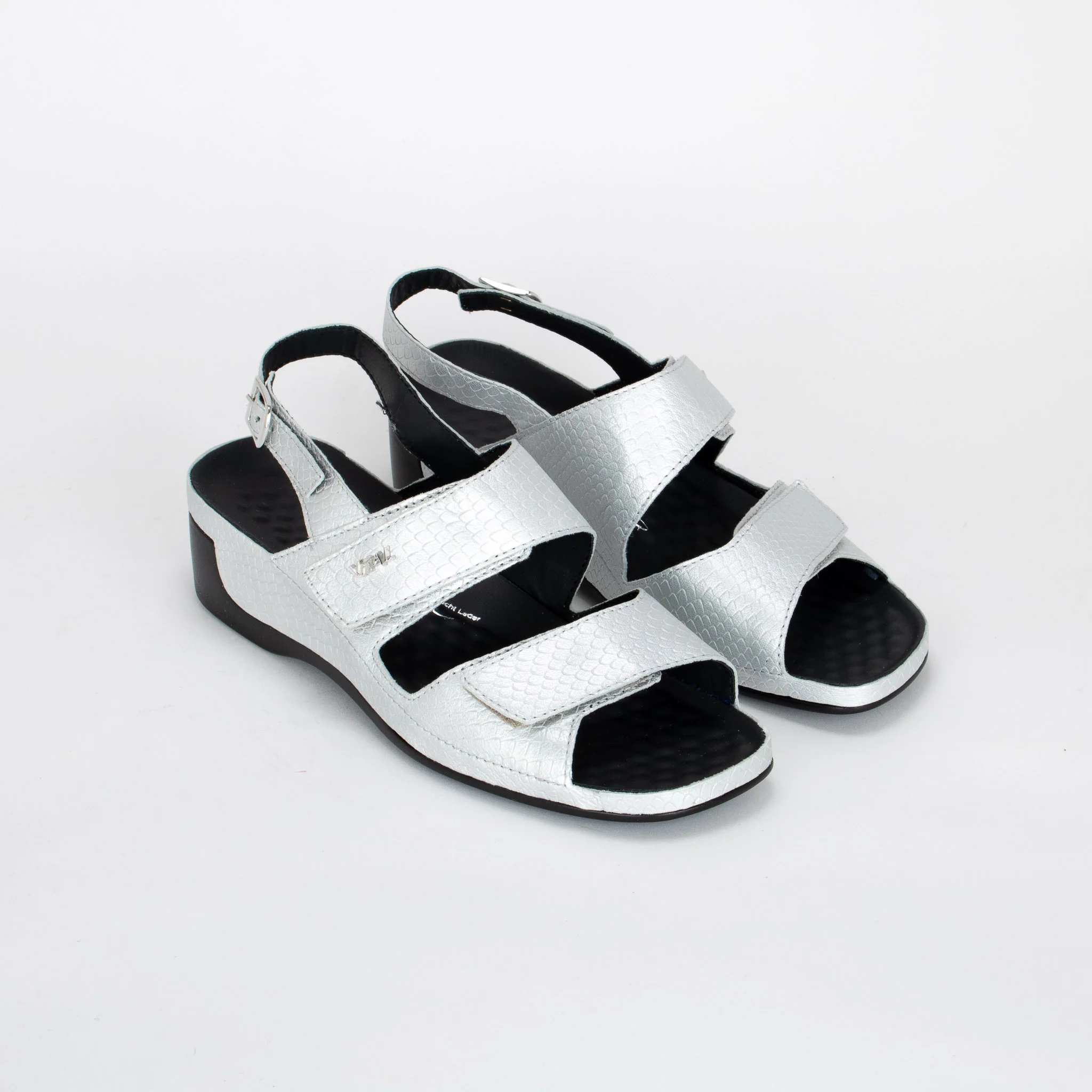 TINA - Image 3
