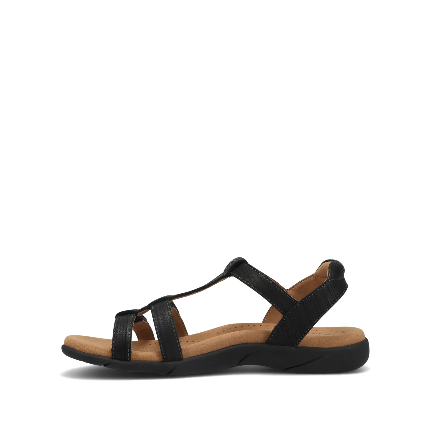 TROPHY 2 - Image 4